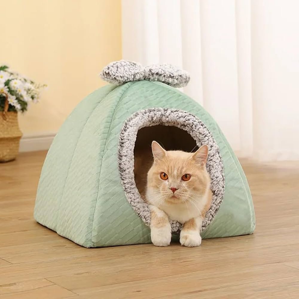 Cat house